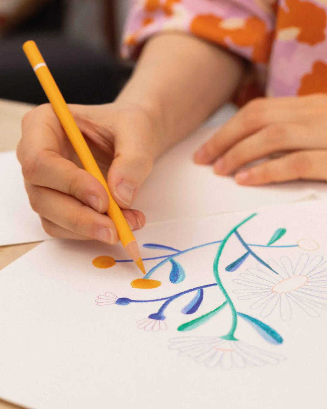 Art School in a Box Colouring Pencil Edition | Artful | Ohh Deer