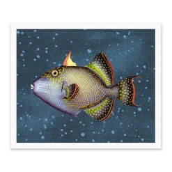 Blue Triggerfish Riso Print (12x10)