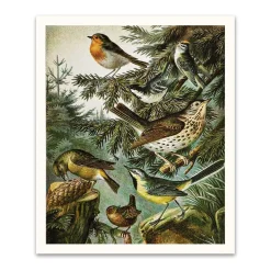 British Birds Riso Print (12x10)
