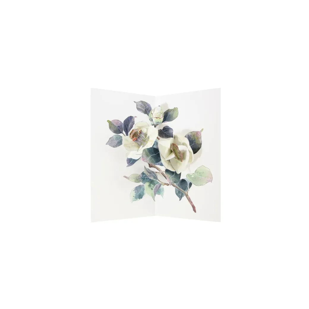 Camellia 3D Pop Up Greeting Card | Ohh Deer