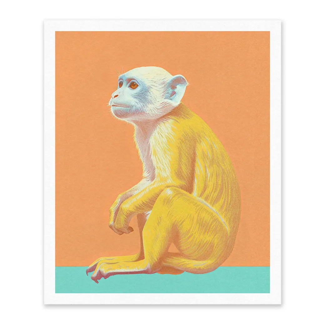 Capuchin Riso Print (12x10)