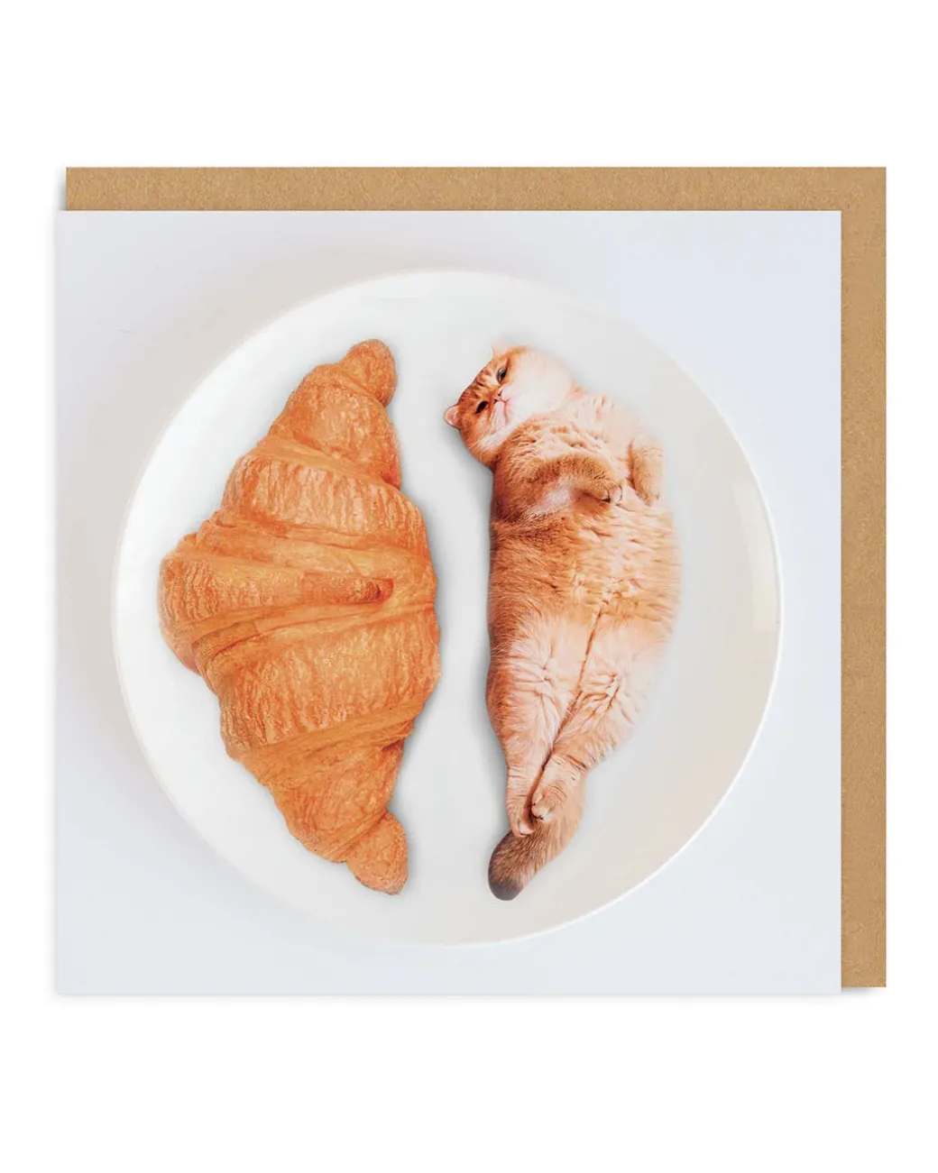 Cat Croissants Greeting Card