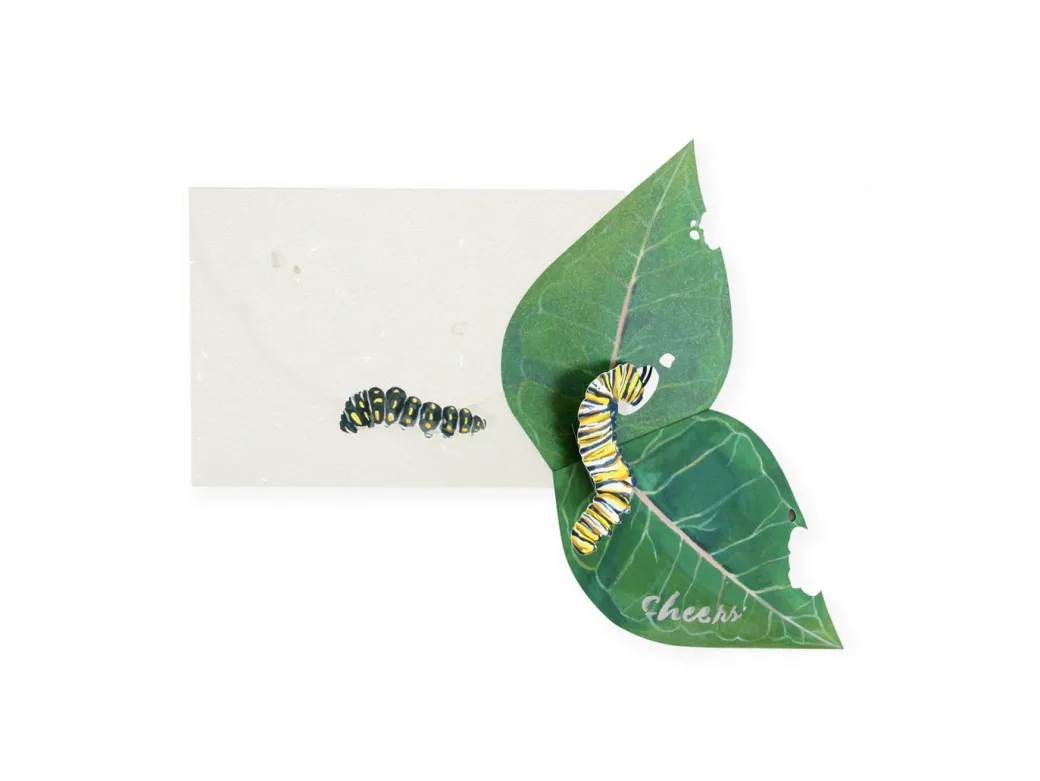 Caterpillar 3D Pop Up Greeting Card | Ohh Deer