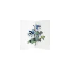 Columbine 3D Pop Up Greeting Card | Ohh Deer