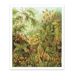 Fungi Forest Riso Print (12x10)