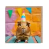 Guinea Pig Birthday Card