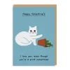 I Love You Even Though You're A Prick Sometimes Valentine's Card | Ohh Deer