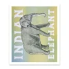 Indian Elephant Riso Print (12x10)