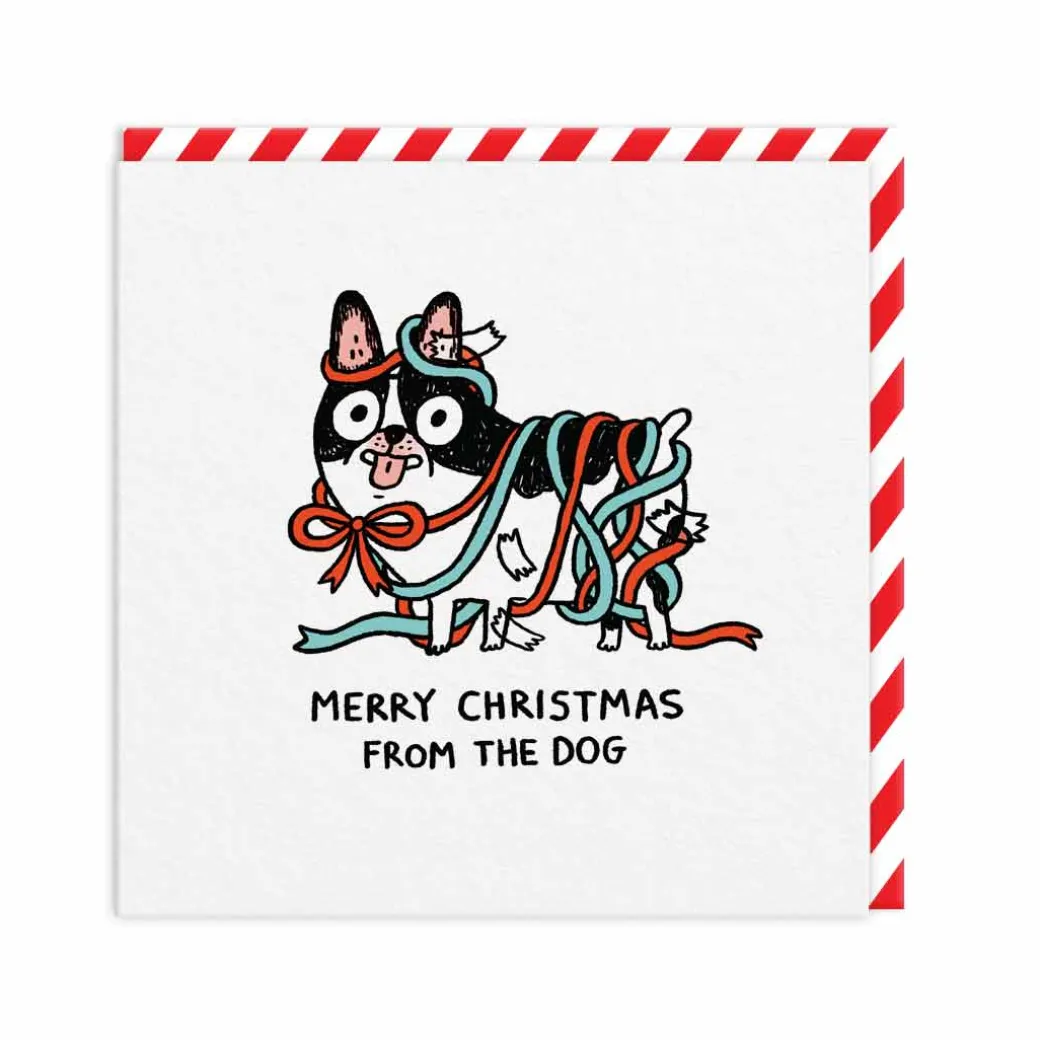 Merry Christmas From The Dog Christmas Card | Ohh Deer
