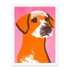 Mid Century Border Terrier Riso Print (8x6)