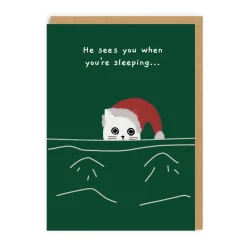 Pack of 9 Christmas Cards - Ken The Cat