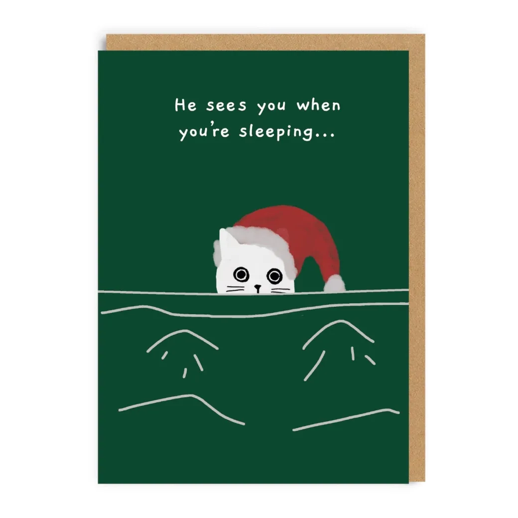 Pack of 9 Christmas Cards - Ken The Cat