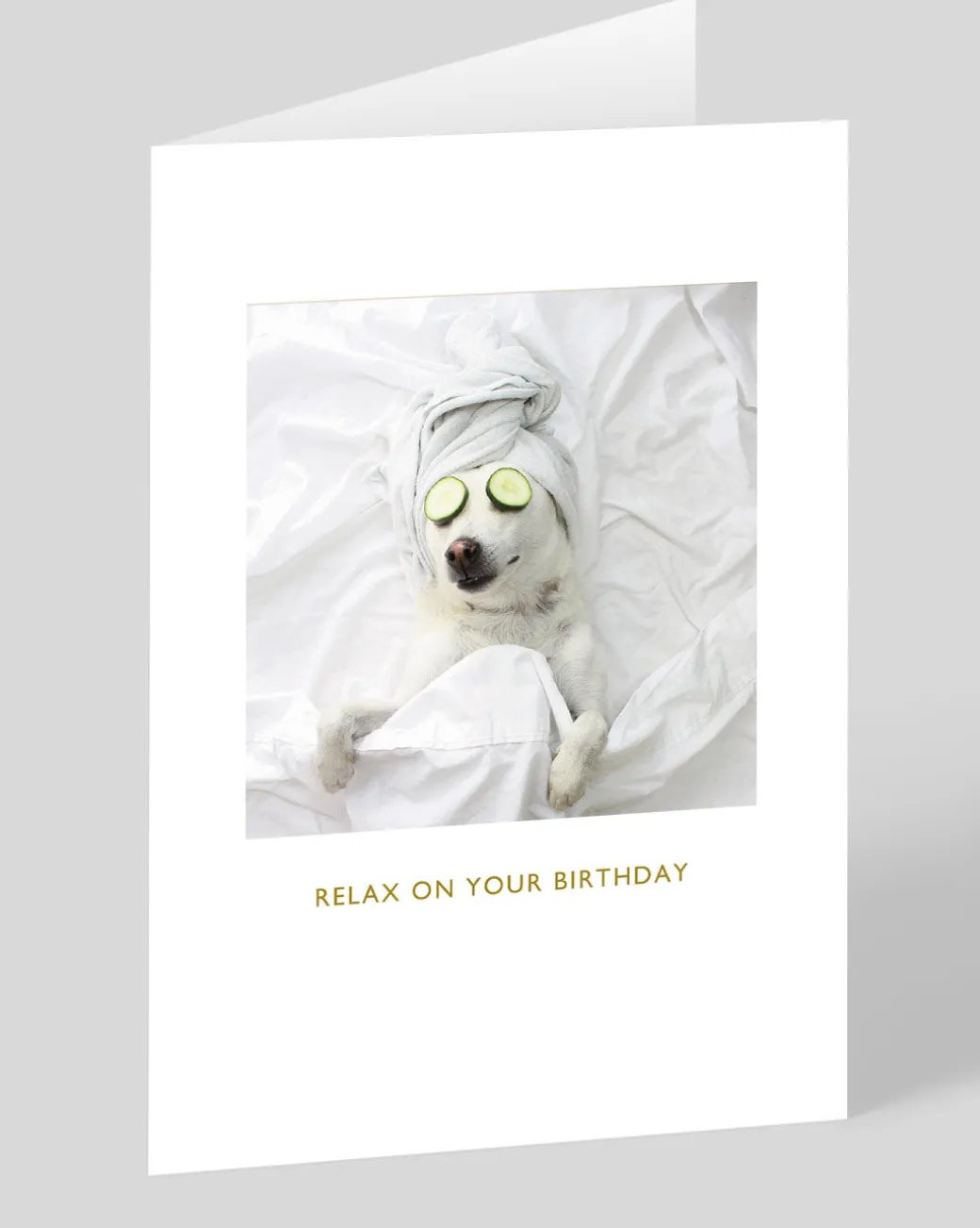 Pampered Pooch Birthday Card | Ohh Deer