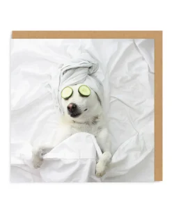 Pampered Pooch Greeting Card