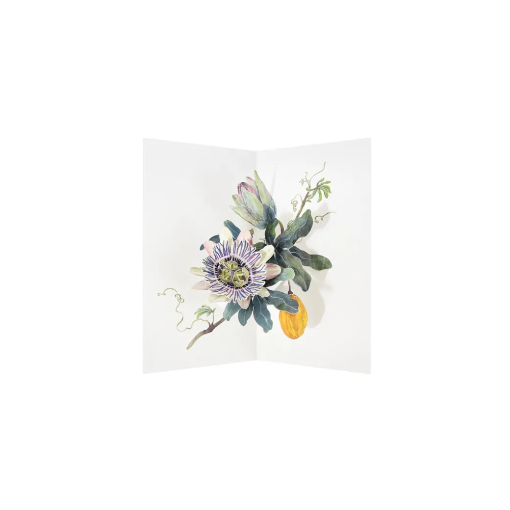 Passion Vine 3D Pop Up Greeting Card | Ohh Deer