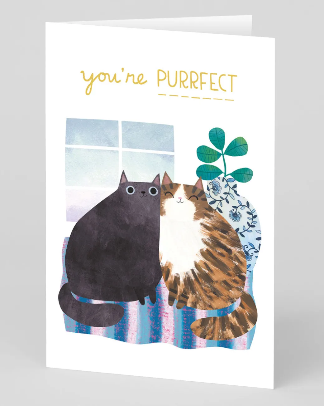 Personalised Anniversary Cats Card | Ohh Deer