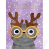 Personalised Antlers Cat Christmas Card | Ohh Deer