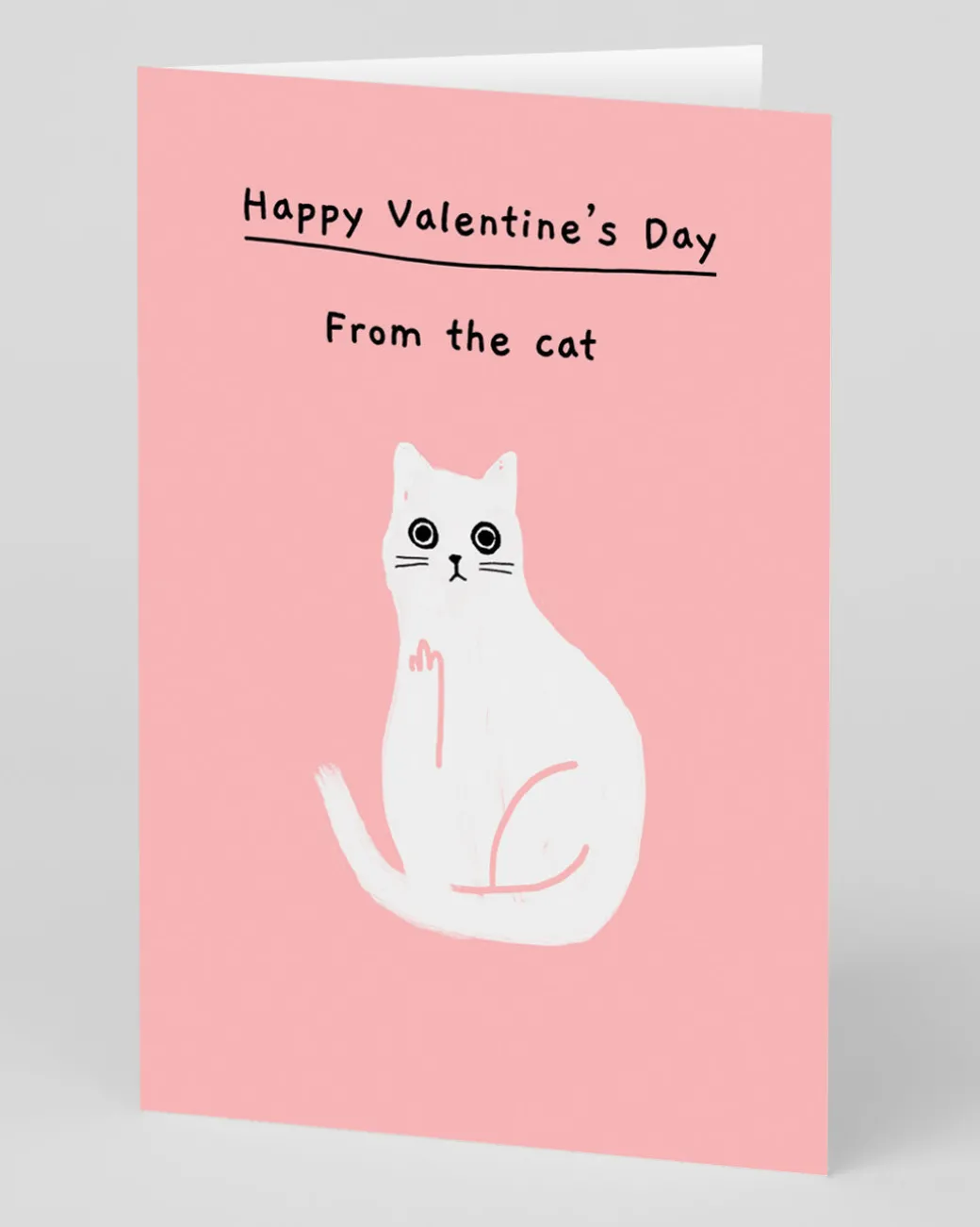 Personalised Happy Valentine's Day from the Cat Card | Ohh Deer