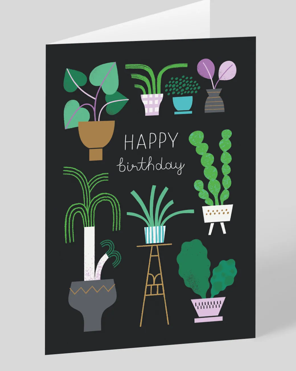 Personalised House Plants Birthday Card | Ohh Deer