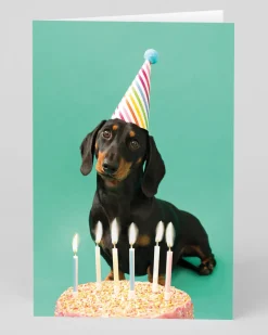 Personalised Scout Party Hat Birthday Card | Ohh Deer
