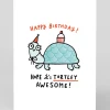 Personalised Turtley Awesome Birthday Card | Ohh Deer