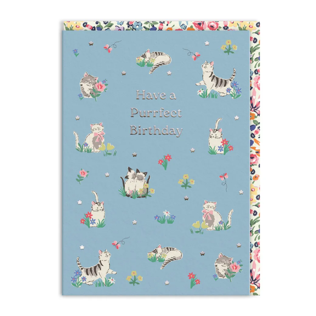 Purrfect Kittens Birthday Card