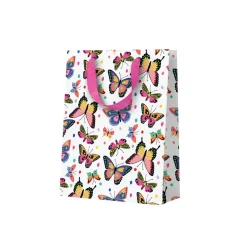 Rainbow Arches Small Gift Bag