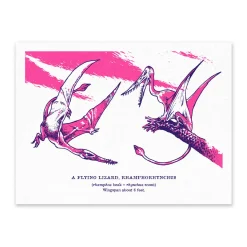 Rhamphorhynchus Riso Print (8x6)