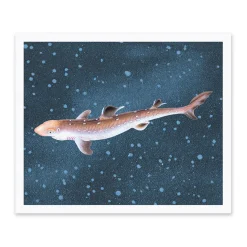 Spiny Dogfish Riso Print (12x10)