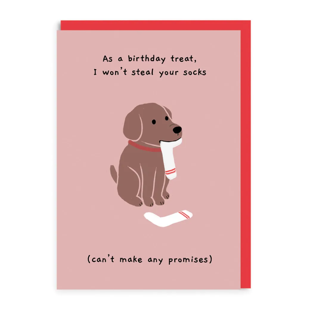 Steal Your Sock Birthday Card - Dog Lovers | Ohh Deer