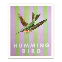 Striped Hummingbird Small Art Print (12x10)