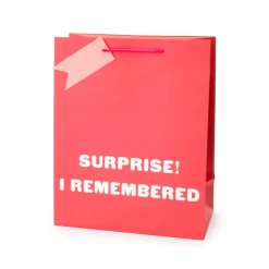Surprise I Remembered Large Gift Bag