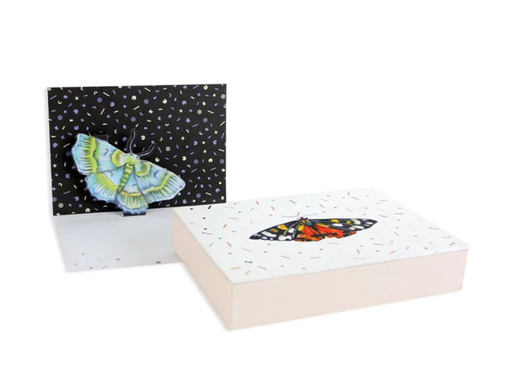 Wings Boxed Notes | Ohh Deer