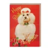 Ya Fancy Bitch Birthday Card - Smitten Kitten | Ohh Deer