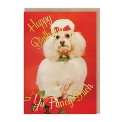 Ya Fancy Bitch Birthday Card - Smitten Kitten | Ohh Deer