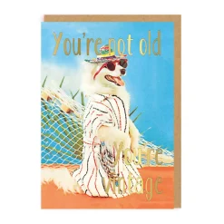You're Not Old, You're Vintage Greeting Card | Ohh Deer